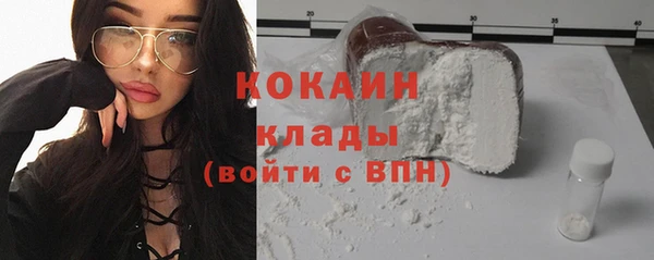 прущие грибы Великий Новгород
