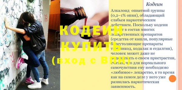 прущие грибы Великий Новгород