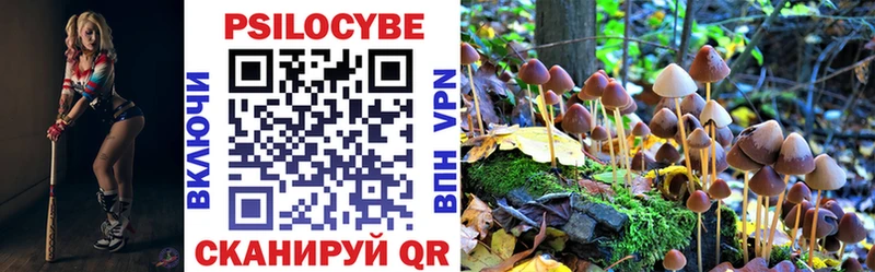 Псилоцибиновые грибы GOLDEN TEACHER  Вытегра 